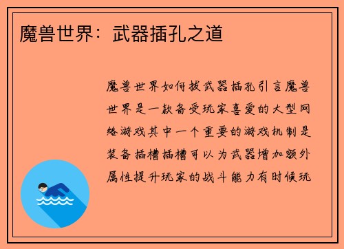 魔兽世界：武器插孔之道